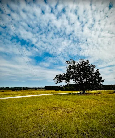 McDade RV Park Picture 5