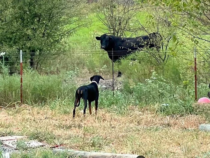 Open Valley RV Park Picture 3