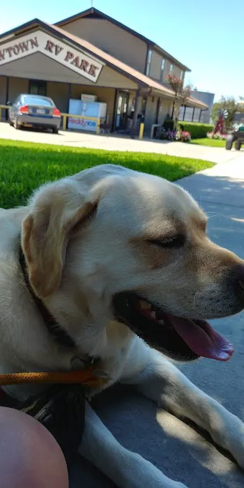 Cowtown RV Park Picture 7