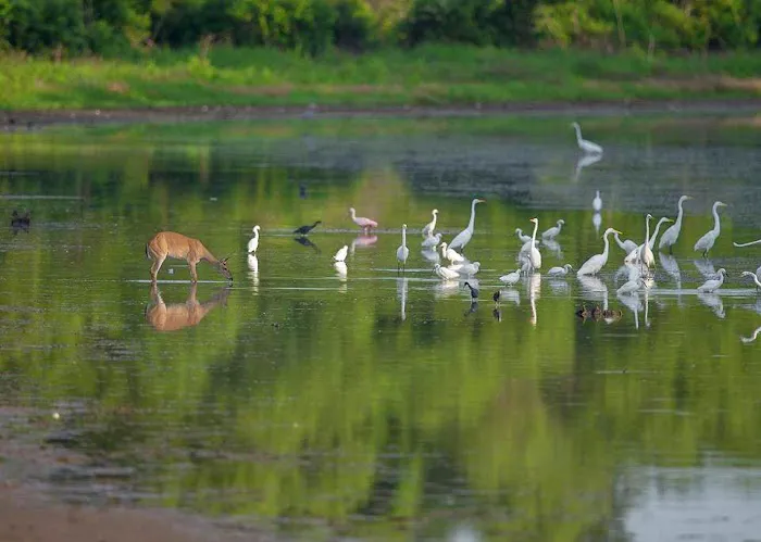 RV PARK FORT WORTH Picture 8