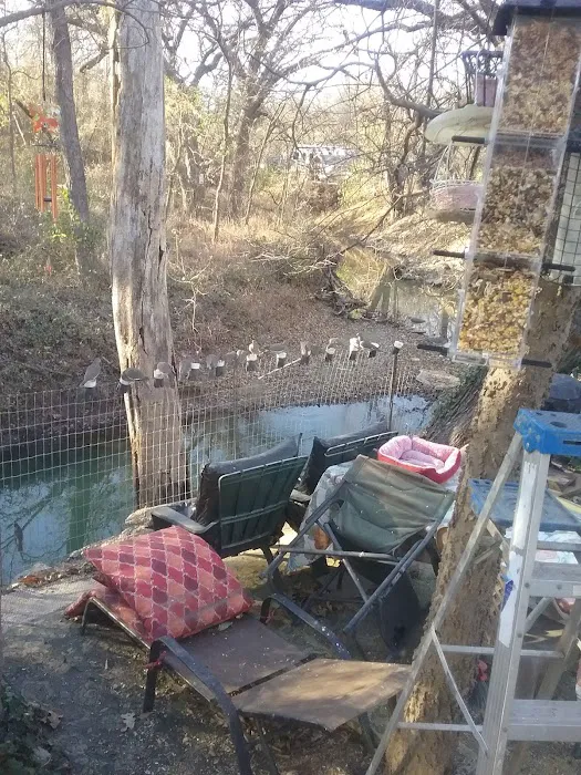 Live Oak Creek RV Park Picture 1