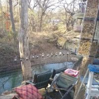 Live Oak Creek RV Park ico