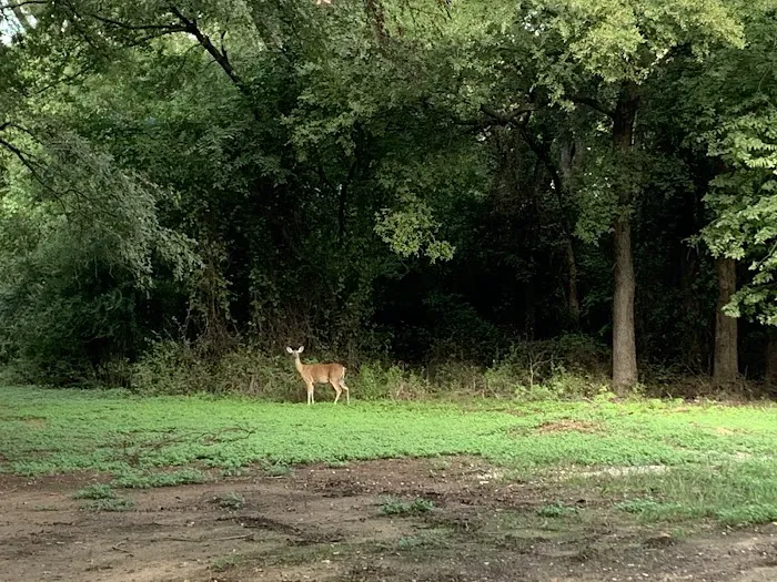 Country Ridge Picture 4