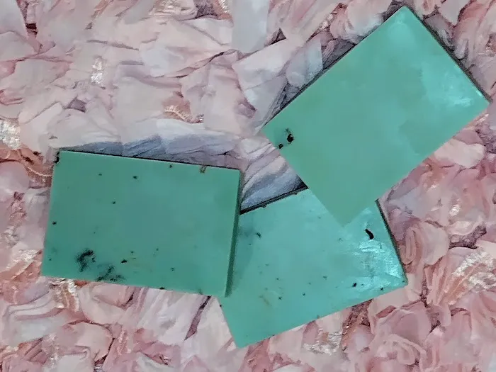 Pleasant Scentz Picture 3