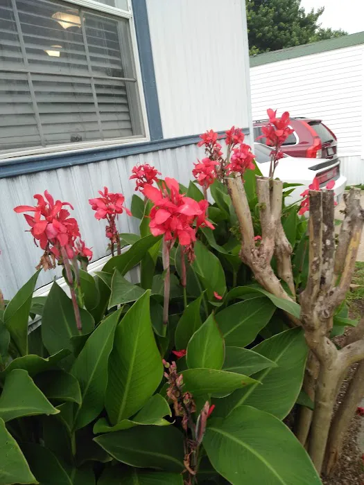 Northwood Manufactured Home Community Picture 6