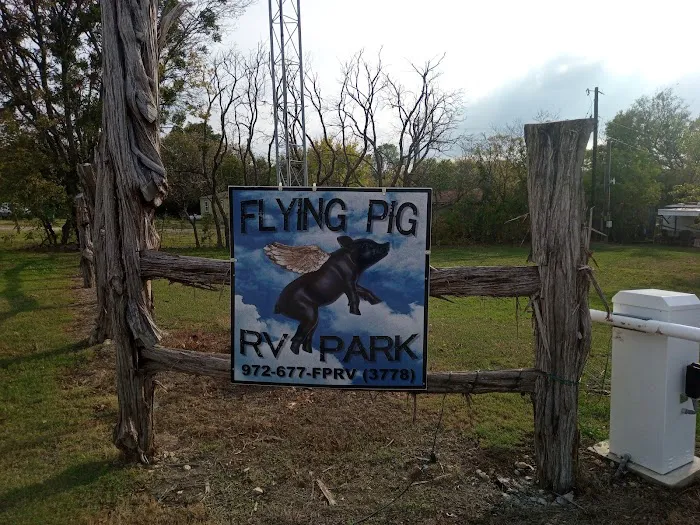 Flying Pig RV Park Picture 6