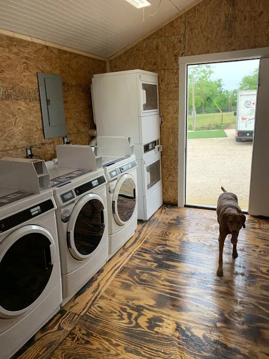 Flying Pig RV Park Picture 5