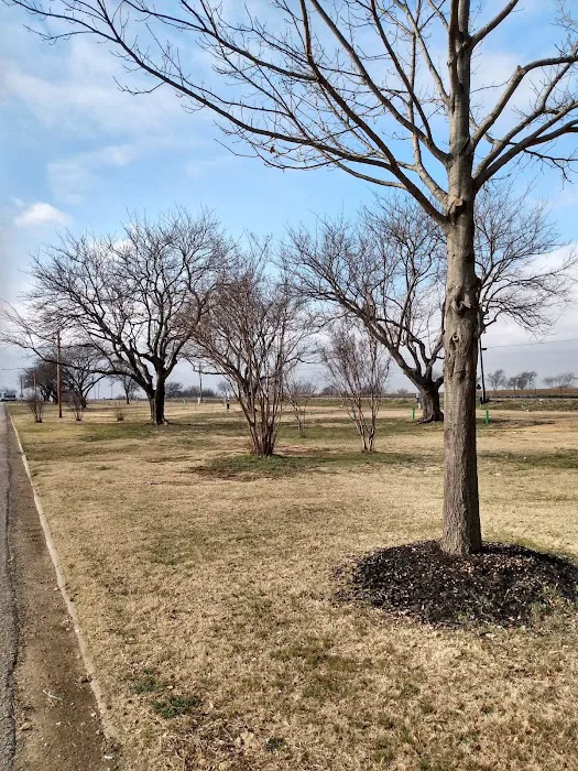 Corral City RV Park Picture 5