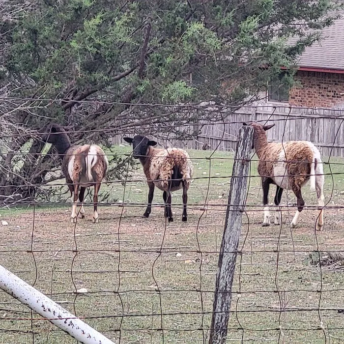 Hooves N Wheels RV Park Picture 5