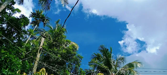 Broken Spoke RV Park Texas Picture 2