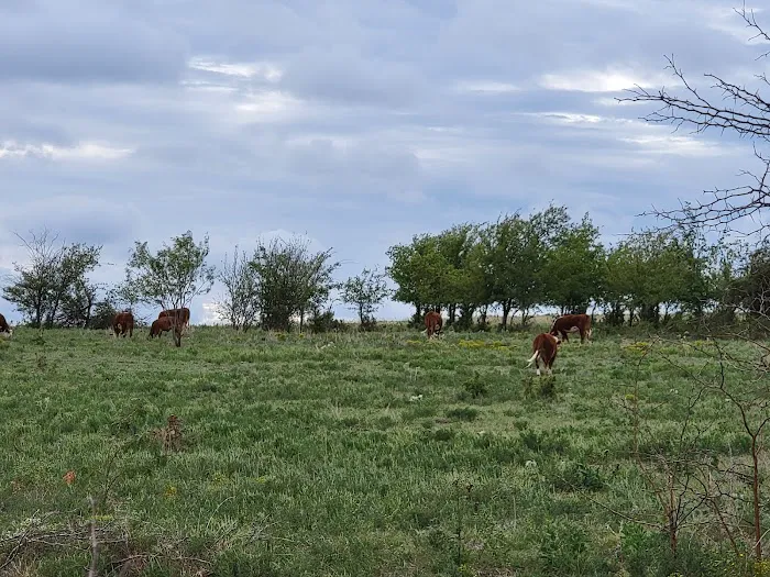 Crosswinds RV and Tiny Home Community Picture 2