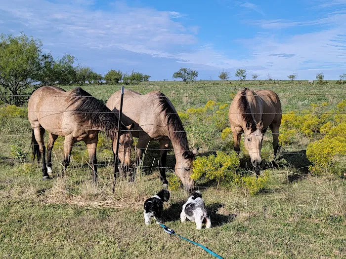 Crosswinds RV and Tiny Home Community Picture 5