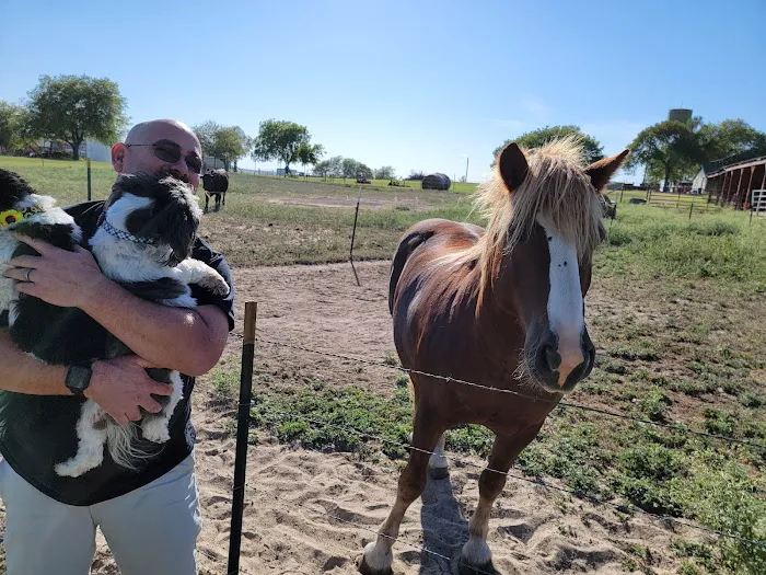 Crosswinds RV and Tiny Home Community Picture 9