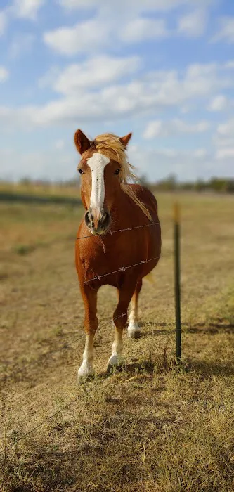 Crosswinds RV and Tiny Home Community Picture 10