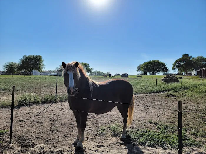 Crosswinds RV and Tiny Home Community Picture 3