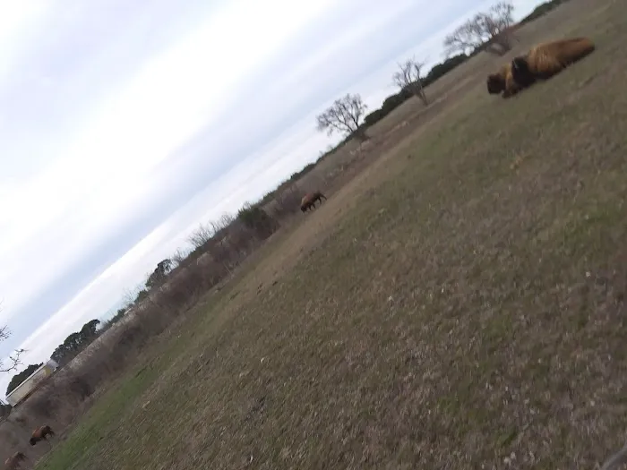 Bison Hill Ranch Picture 8