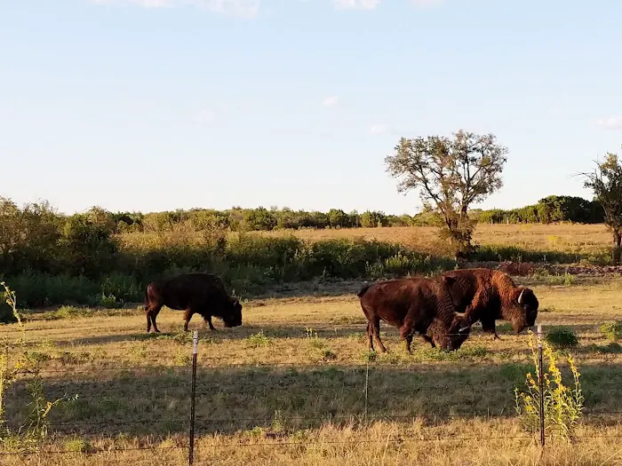Bison Hill Ranch Picture 5