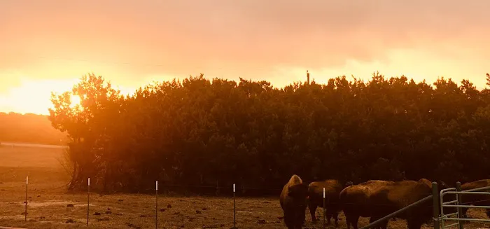 Bison Hill Ranch Picture 10