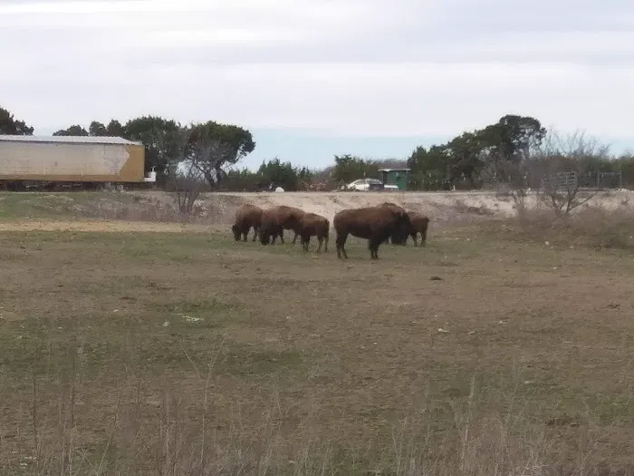 Bison Hill Ranch Picture 9