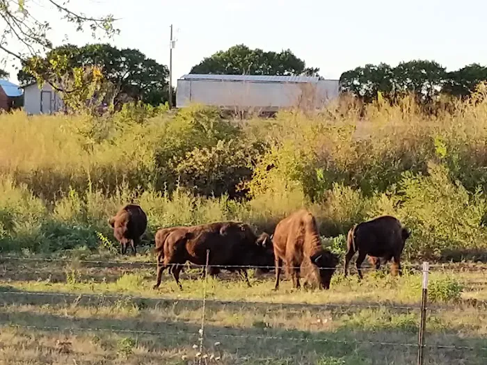 Bison Hill Ranch Picture 3