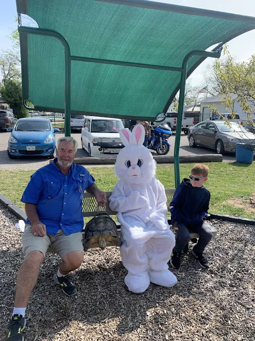 Oakdale Park Picture 8