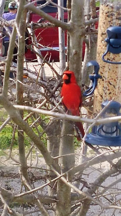 Flint Canyon RV Park and Wild Game Processing Picture 5