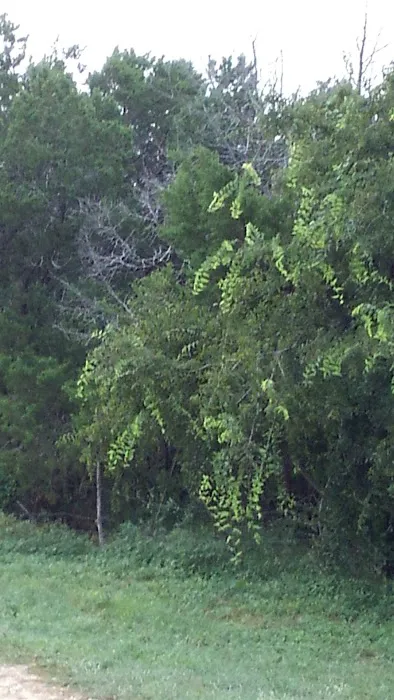 Flint Canyon RV Park and Wild Game Processing Picture 1