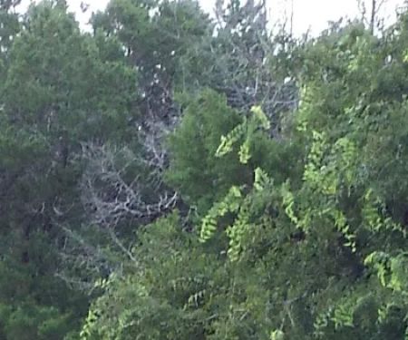 Flint Canyon RV Park and Wild Game Processing