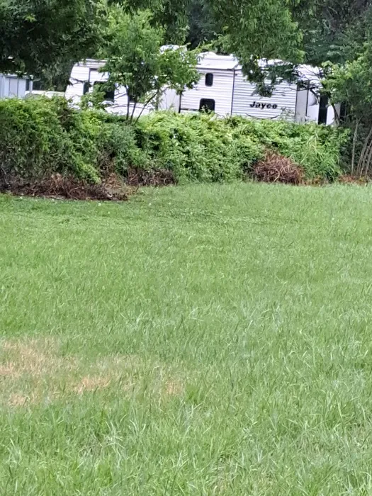 Barnard Street RV Park Picture 7