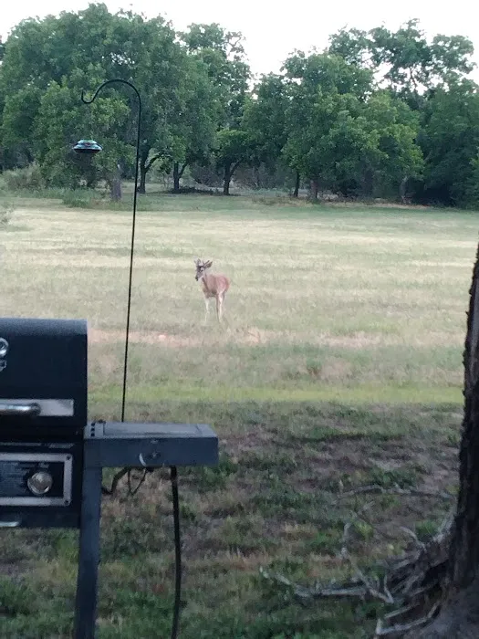 Barnard Street RV Park Picture 6