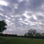 Barnard Street RV Park