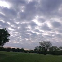 Barnard Street RV Park ico