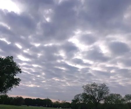 Barnard Street RV Park