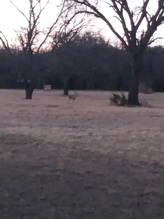 Barnard Street RV Park Picture 2