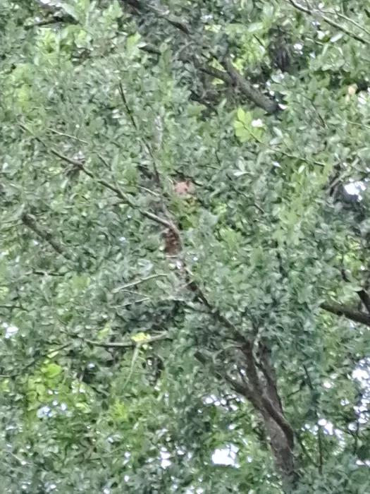 Barnard Street RV Park Picture 8