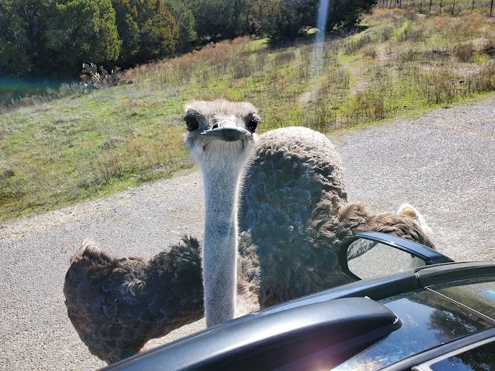 Cedar Ridge RV Park Picture 1