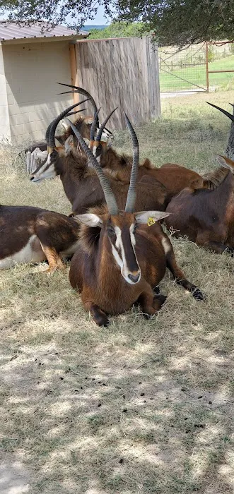 Cedar Ridge RV Park Picture 5