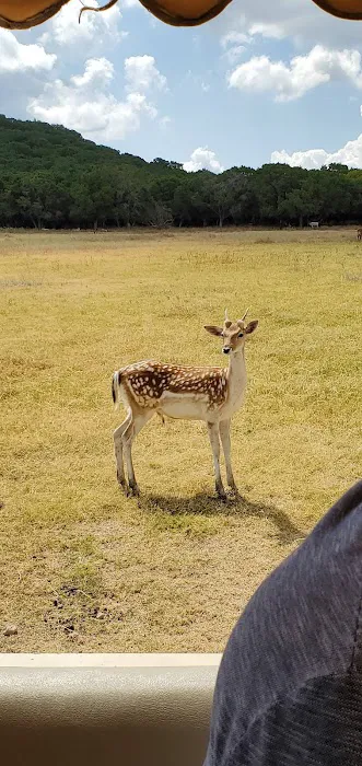 Cedar Ridge RV Park Picture 7