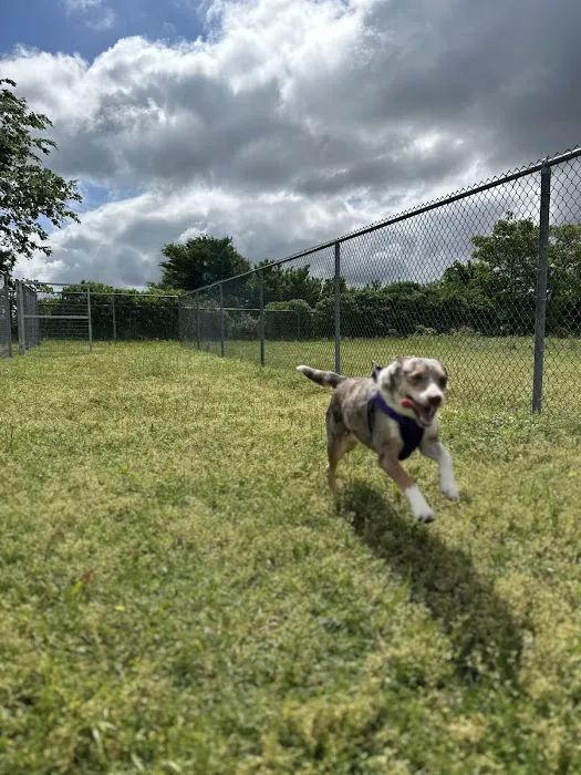 Shark Tooth RV Ranch Picture 10