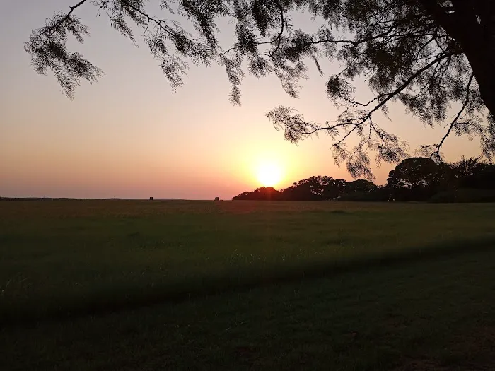 Shark Tooth RV Ranch Picture 1