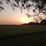 Shark Tooth RV Ranch