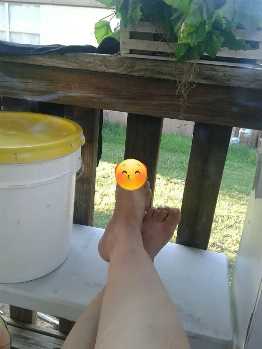 Riviera Mobile Home Park Picture 3