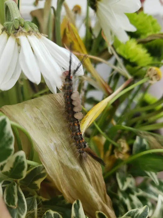 Way Station RV Park Picture 4