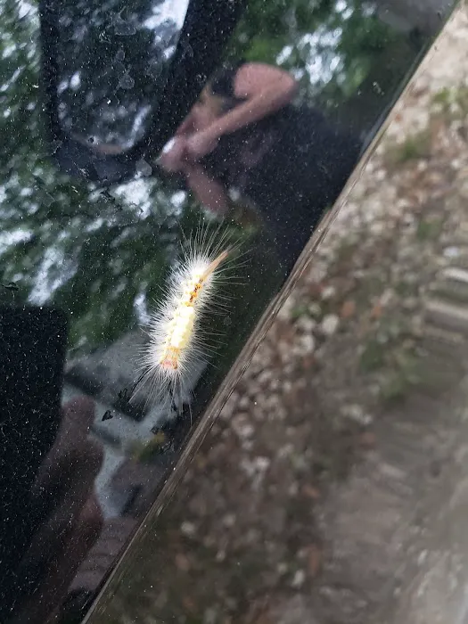 Way Station RV Park Picture 3