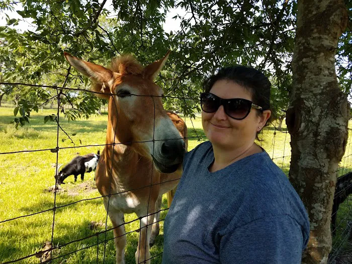 San Bernard River RV Park Picture 2