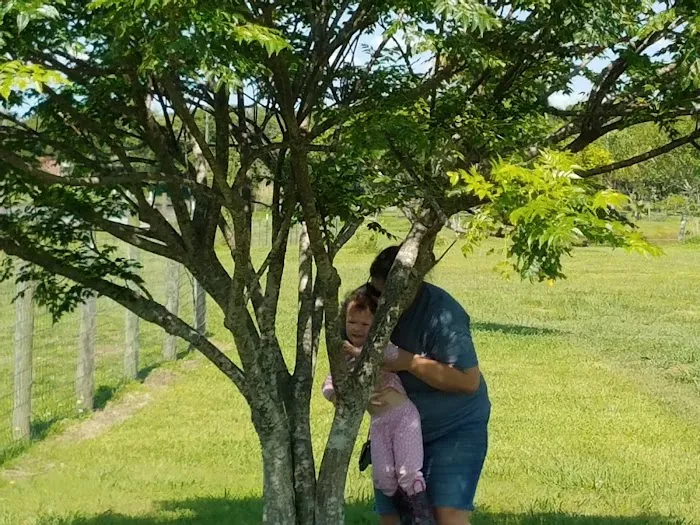 San Bernard River RV Park Picture 8