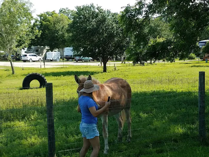 San Bernard River RV Park Picture 1