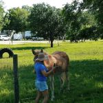 San Bernard River RV Park