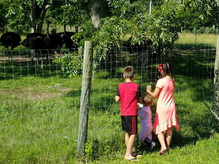 San Bernard River RV Park Picture 3