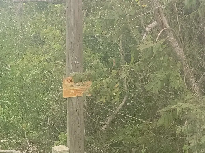 Down Home RV Park Picture 1